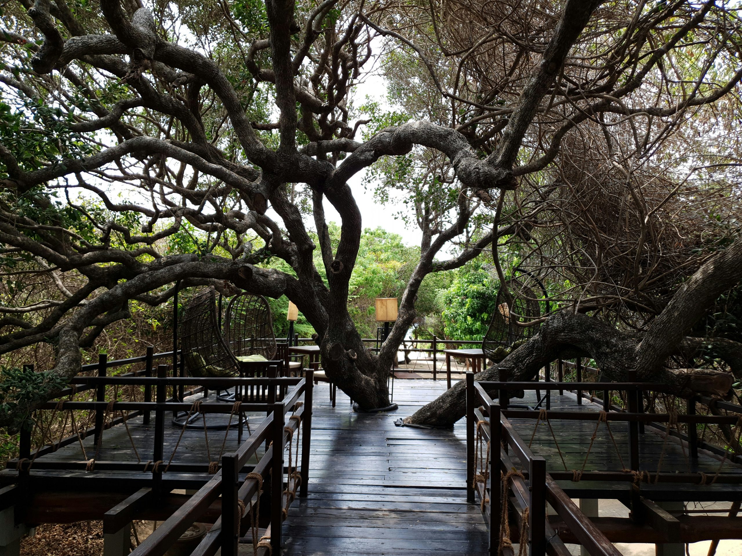 harshana-peiris-pOzr6_wpeZ0-unsplash